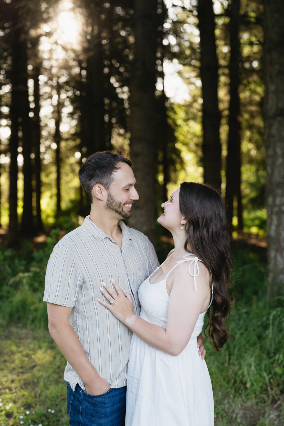 Forested backdrop with sunlight pouring through.