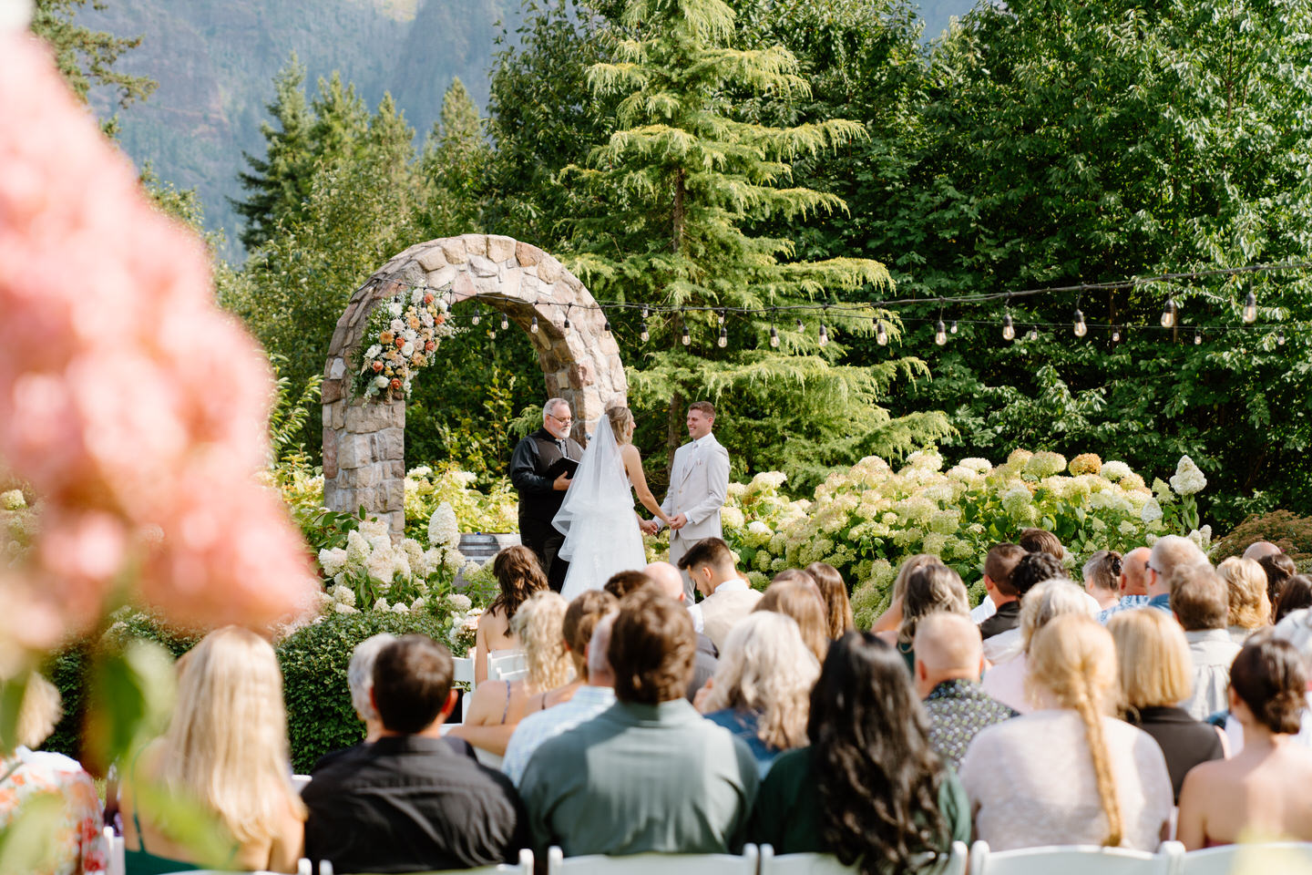 Cape Horn Estate wedding ceremony with guests surrounded by hydrangeas. 
