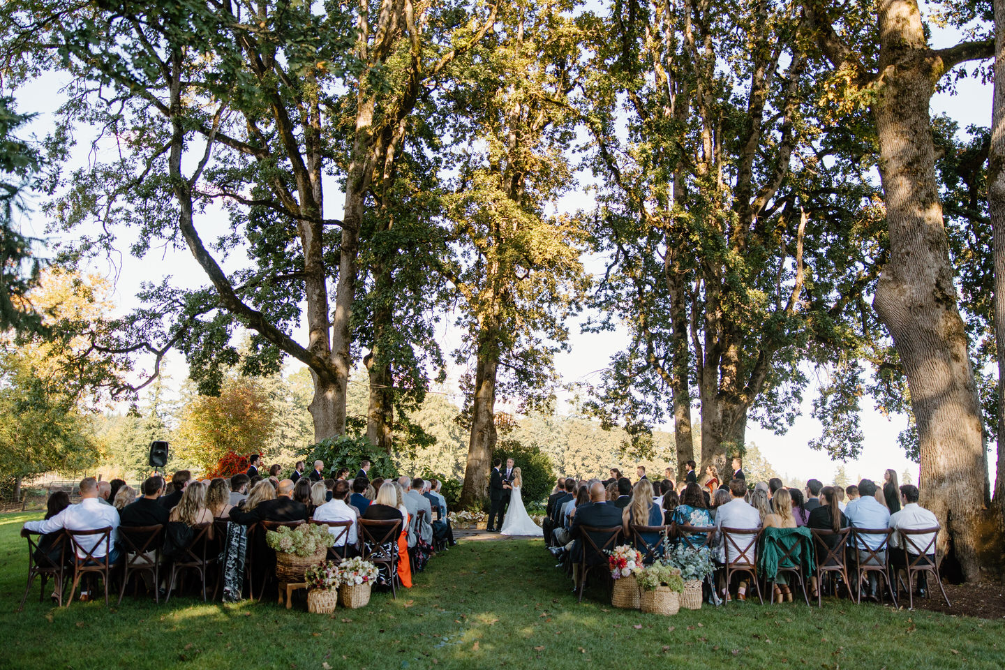 Wide view of the outdoor ceremony space at Postlewait's, featuring towering oak trees.