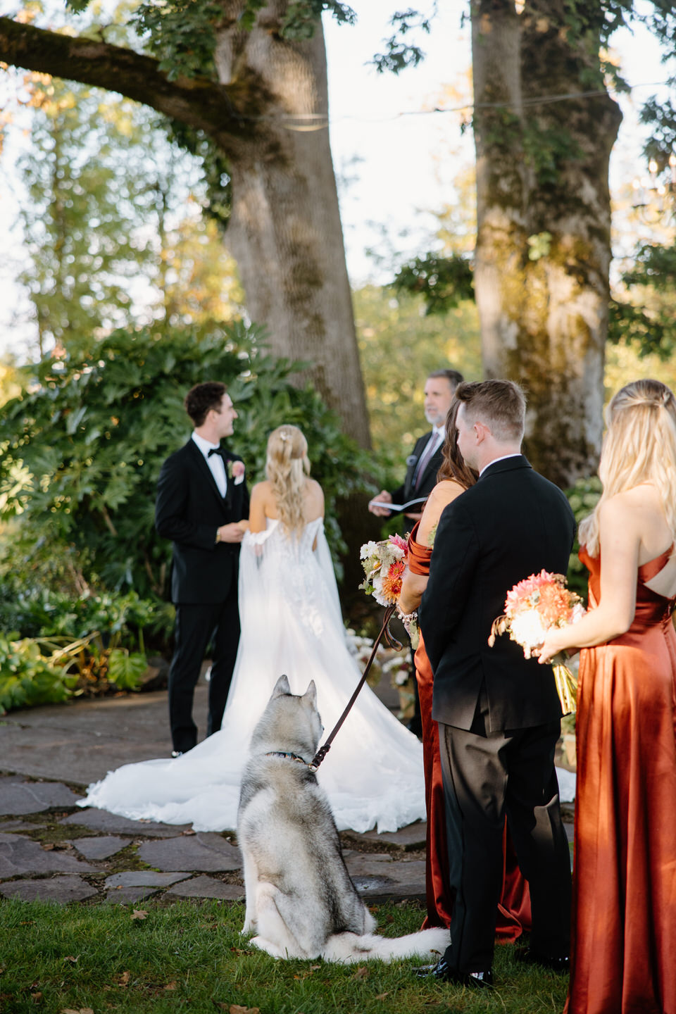 The bride & groom's dog standing with the bridal party during wedding ceremony at Postlewaits.