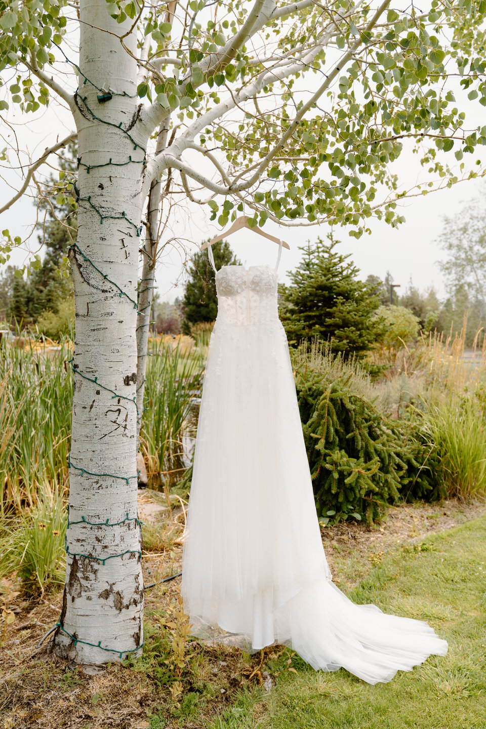 Bespoke Bride wedding dress detail photo in aspen tree in Sisters, Oregon.