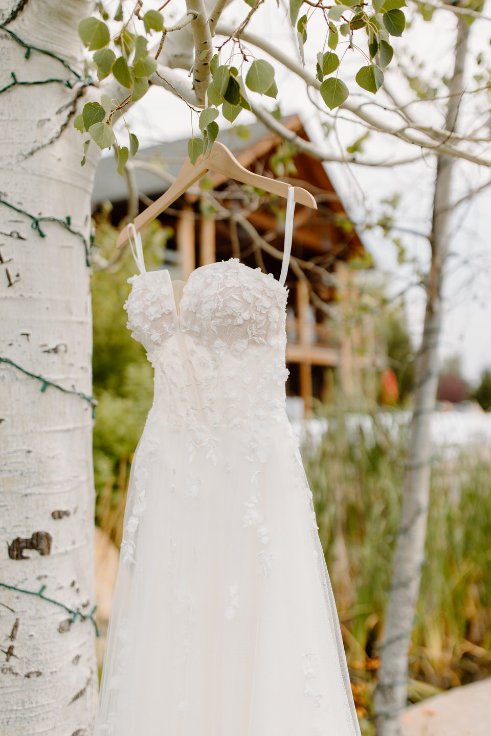 Wedding dress from Bespoke Bride hanging in aspen tree in Bend, Oregon