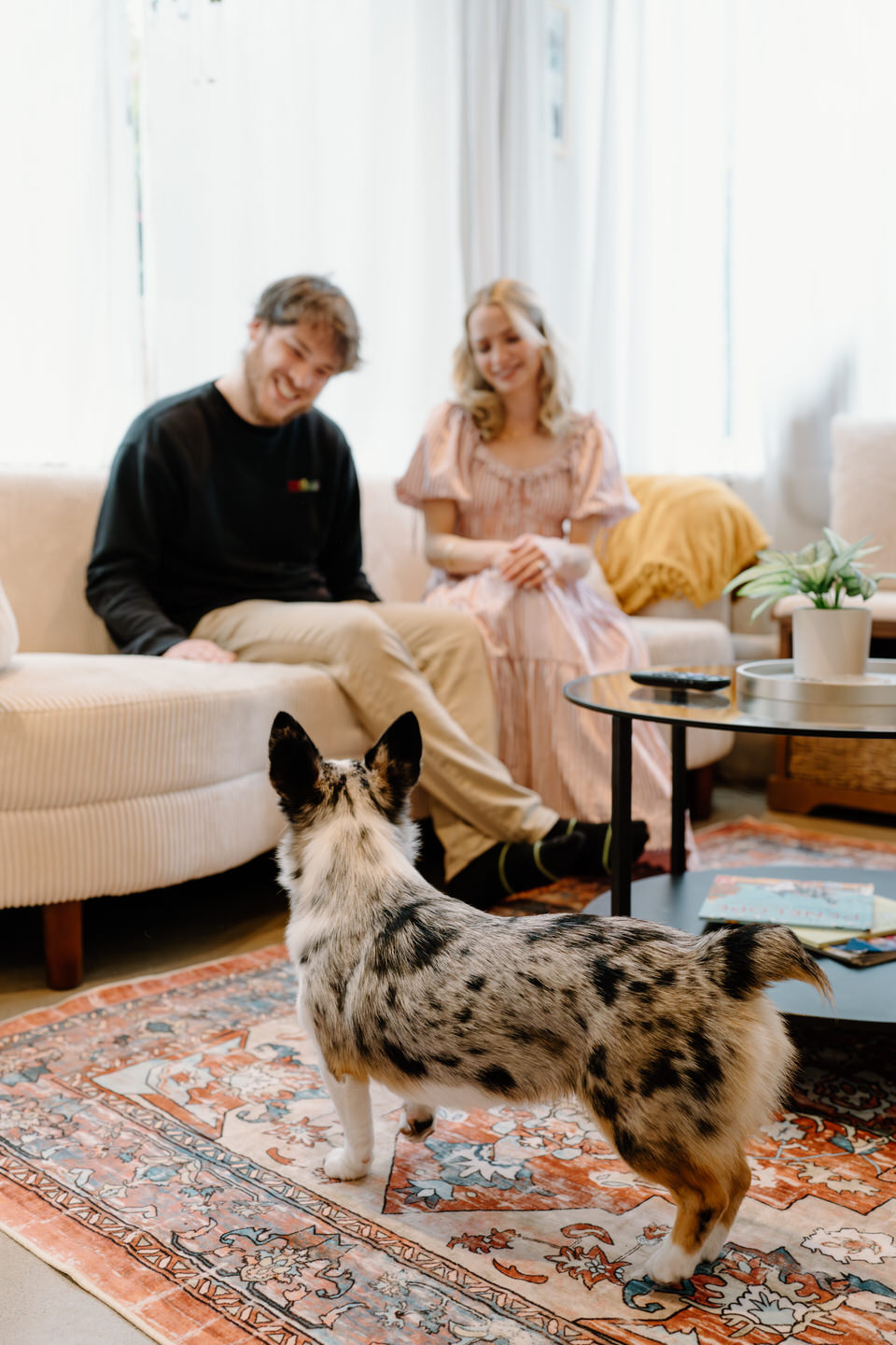 In-home couples session with your dog