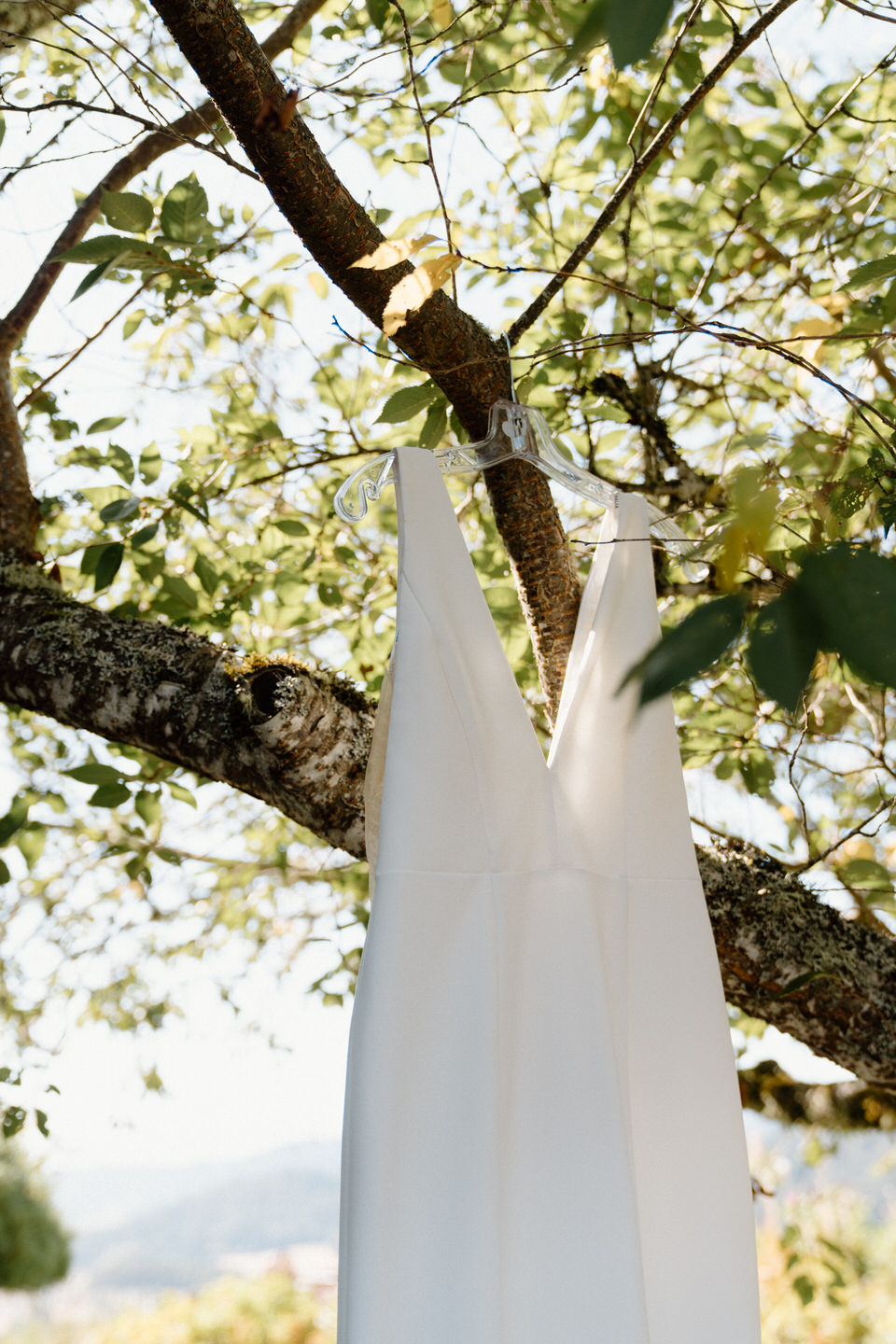 Wedding dress hanging in a tree at Youngberg Hill Winery wedding.